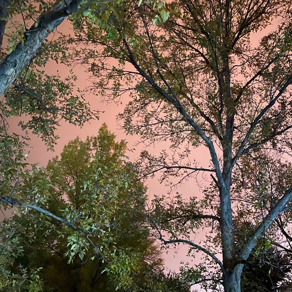 😍 POSH AMBASSADOR 😍 - Picture 3 of 10